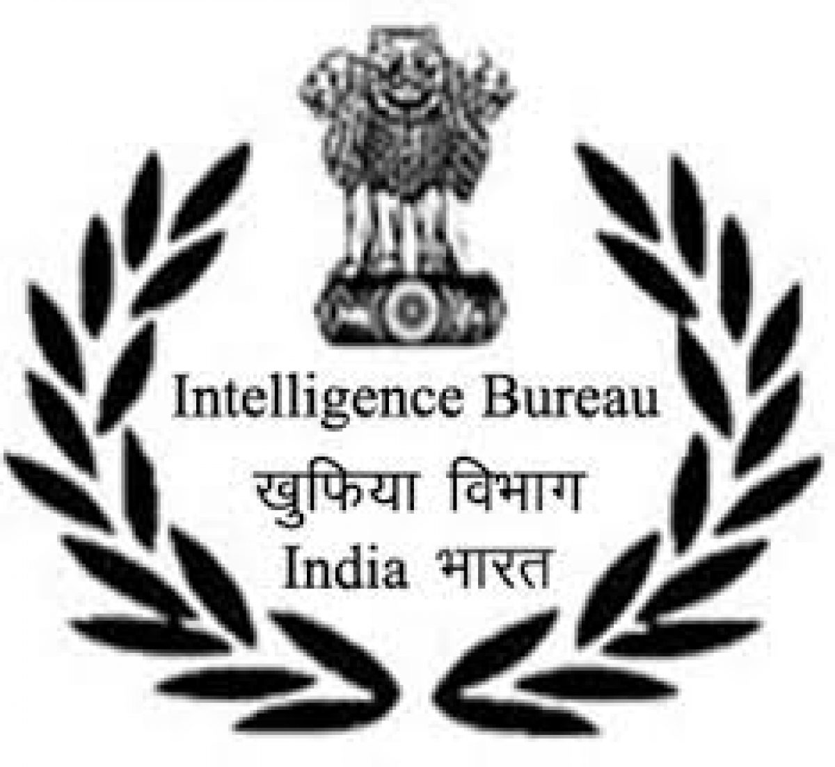 Intelligence Bureau
