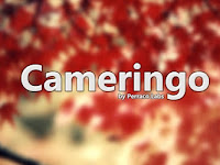 Download Cameringo + Effects Camera MOD APK v2.8.24 for Android Full Update Terbaru 2019