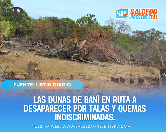 Las Dunas de Baní en ruta a desaparecer por talas y quemas indiscriminadas.