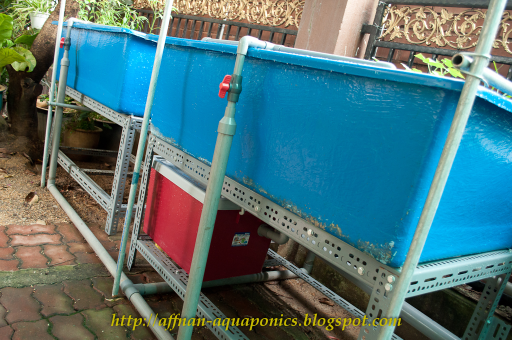 Affnan's Aquaponics: Aquaponics Malaysia - En. Ahmad Hayan Radzi Setup