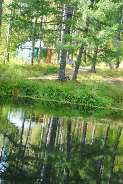 Oregon-yurts-Vernonia -Springs-wedding-venue 