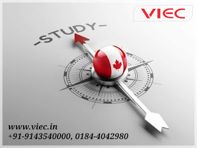 Best Study Visa Consultants in Karnal