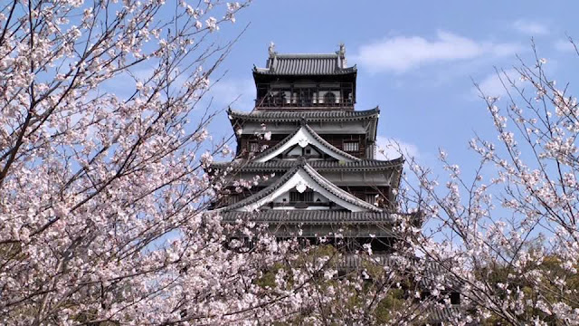 Travel, Japan, Sakura, Blossom, Bloom, Visit, Vacation, Osaka, Tokyo, Fukuoka, Hiroshima, Kyoto, Temple