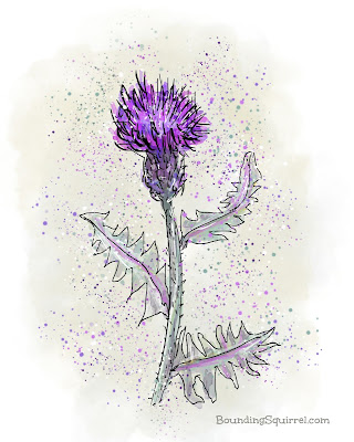 Digital line and wash sketch of a purple thistle.