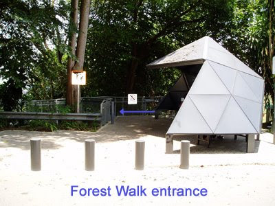 34_ForestWalk_Entrance