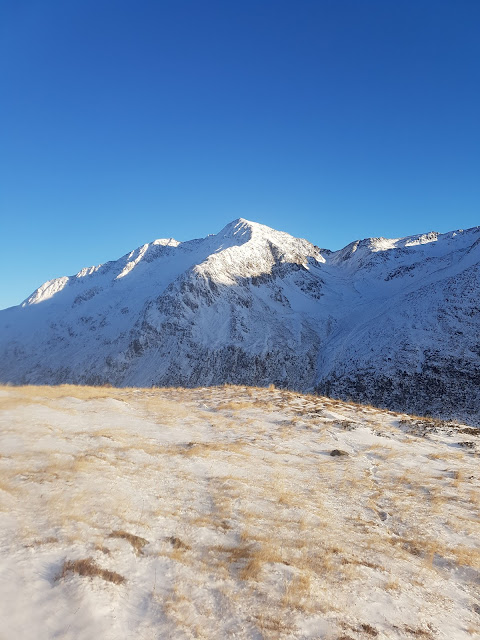 Su versanti meridionali presso il Passo Stalle sotto il Grande Orecchio a circa 2200 m: neve quasi assente (Foto: Kleinlercher Daniel, 23.11.2022)