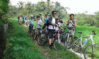 Cycling Tour Ubud