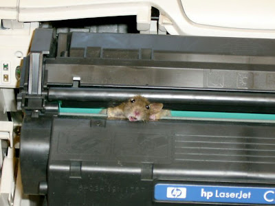 Printer on Customer Service Mouse Printers Don T Have A Mouse Caller Mmmmm Oh