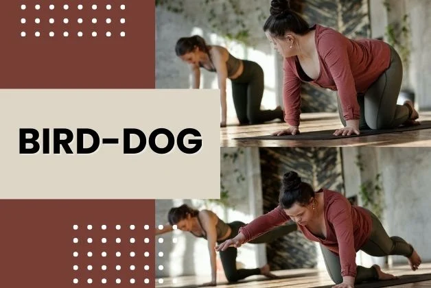 Exercises to Strengthen Lower Back - Two women demonstrating Bird-Dog exercise