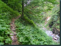 DSCN2559