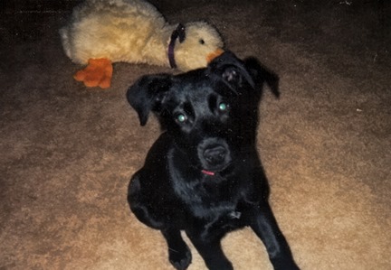 Chloe Baby