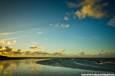 Water and Landscape