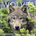 Download Wolves Wall Calendar (2018) Ebook by Landmark (Calendar)