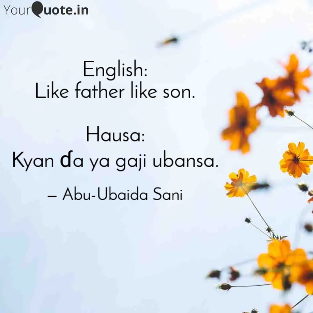 Abu-Ubaida Sani translation