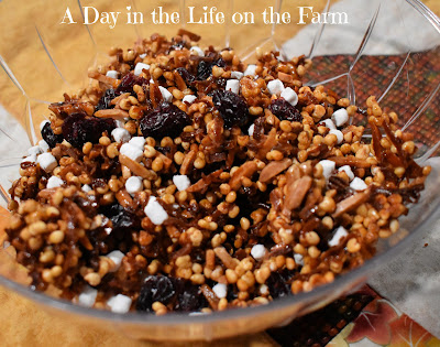 Puffed Millet Granola