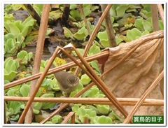 20120209_085436_092_Macau_9