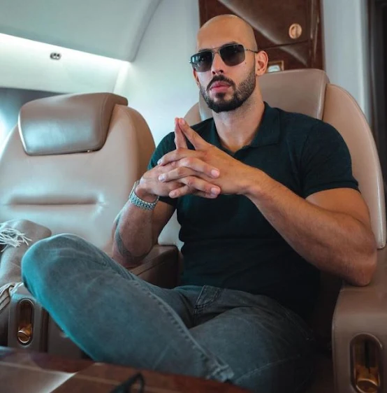 A bold man on a luxury air plane