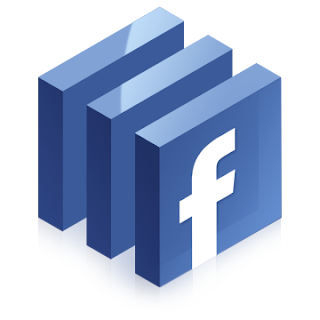 Extension to remove Facebook's Biography