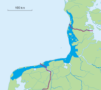 sea, mer,zee, wadden,Crassostrea gigas, huitre, pacific, oysters,ostrea,Japanse oester, VLIZ, zwininstitut flamand mer, creuse, creuses, plates, Zeeuwse, l’huître zélandaise