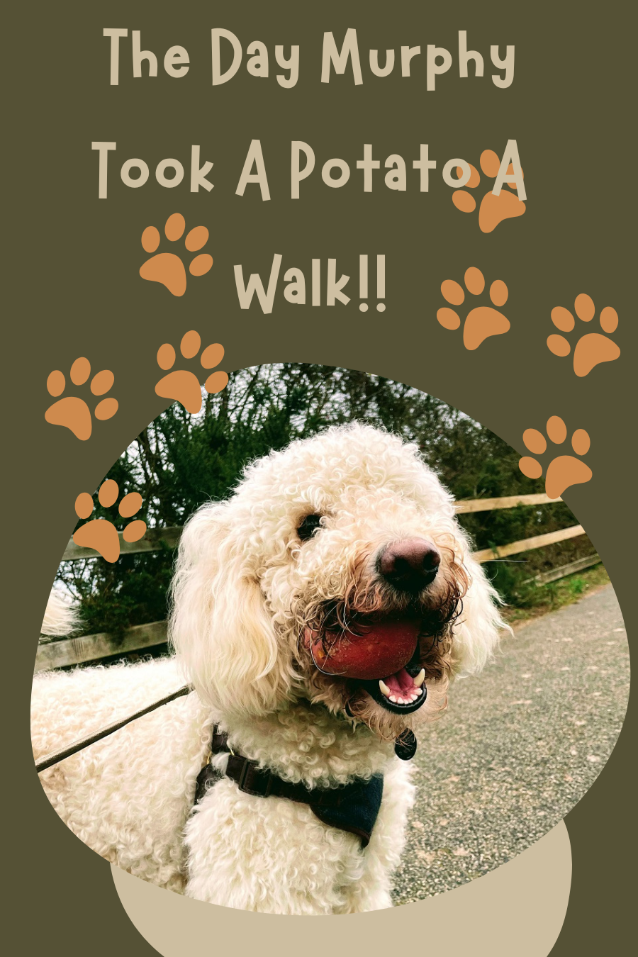 The Day Murphy Took A Potato A Walk!!