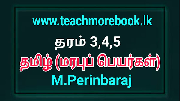 தரம் 3,4,5 தமிழ் (மரபுப் பெயர்கள்) 