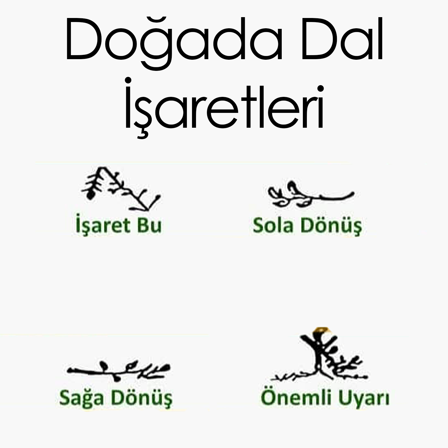 Doğada Dal İşaretleri