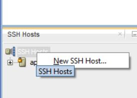 Create New SSH Host