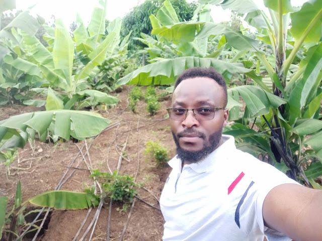 I spent a whole day with one of my family member who does the highly profitable tissue culture bananas farming in Kiriny’aga County, Kenya.