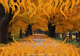 Desktop wallpapers Harley Davidson Flames Logo in Autumn Trees desktop wallpaper