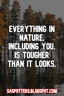 Everything in nature, including you, is tougher than it looks.