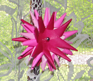 porcupine ball flower