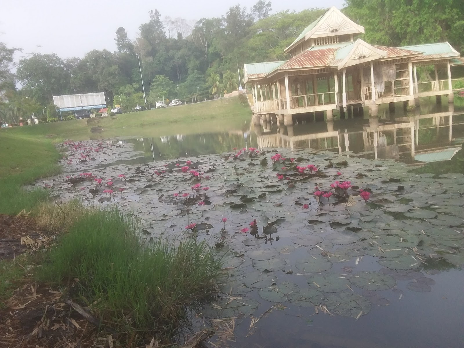 Apresiasi Seni  Seorang  Guru