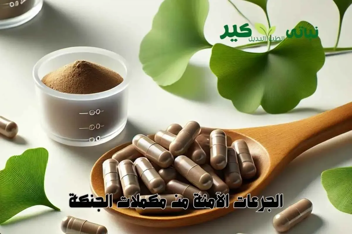 Safe-Dosage-Ginkgo-Biloba-Supplements-Health