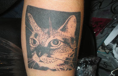 Cat tattoo