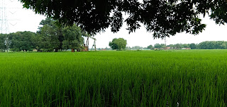 Human life as a farmer