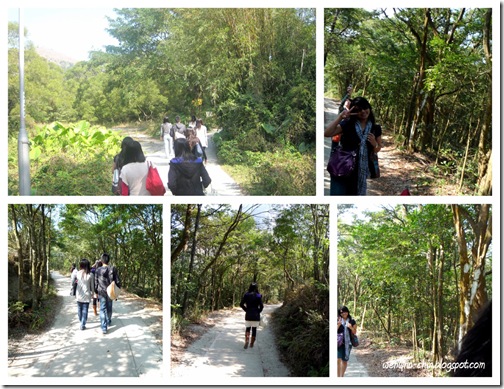 wisdom path-2