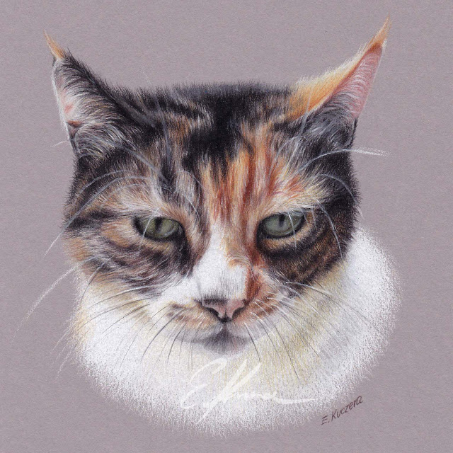 Colored pencil portrait of a cat which fur is white, brown and black and cat's eyes are green