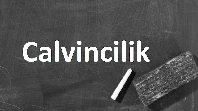 Calvincilik