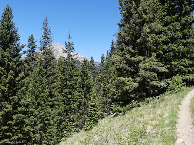 12: trees and view