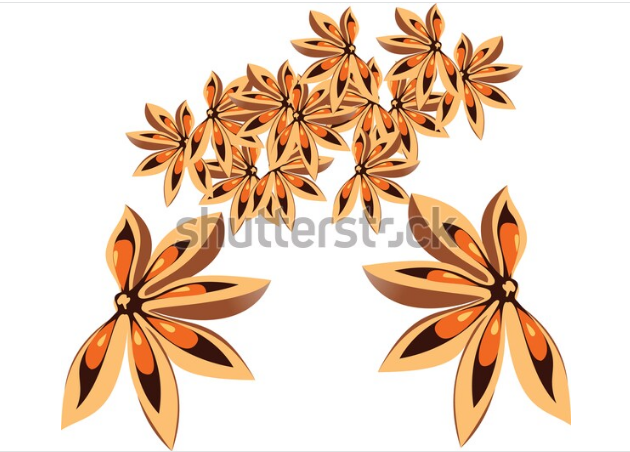 illustration flowers