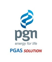 PT PGAS Solution