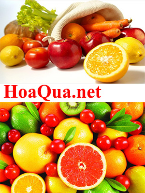 HoaQua.net