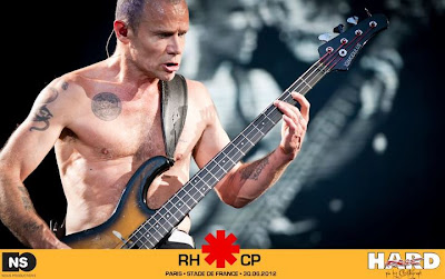 christographe hardforce nousproductions nousprod rhcp red hot chili peppers stade de france paris 2012