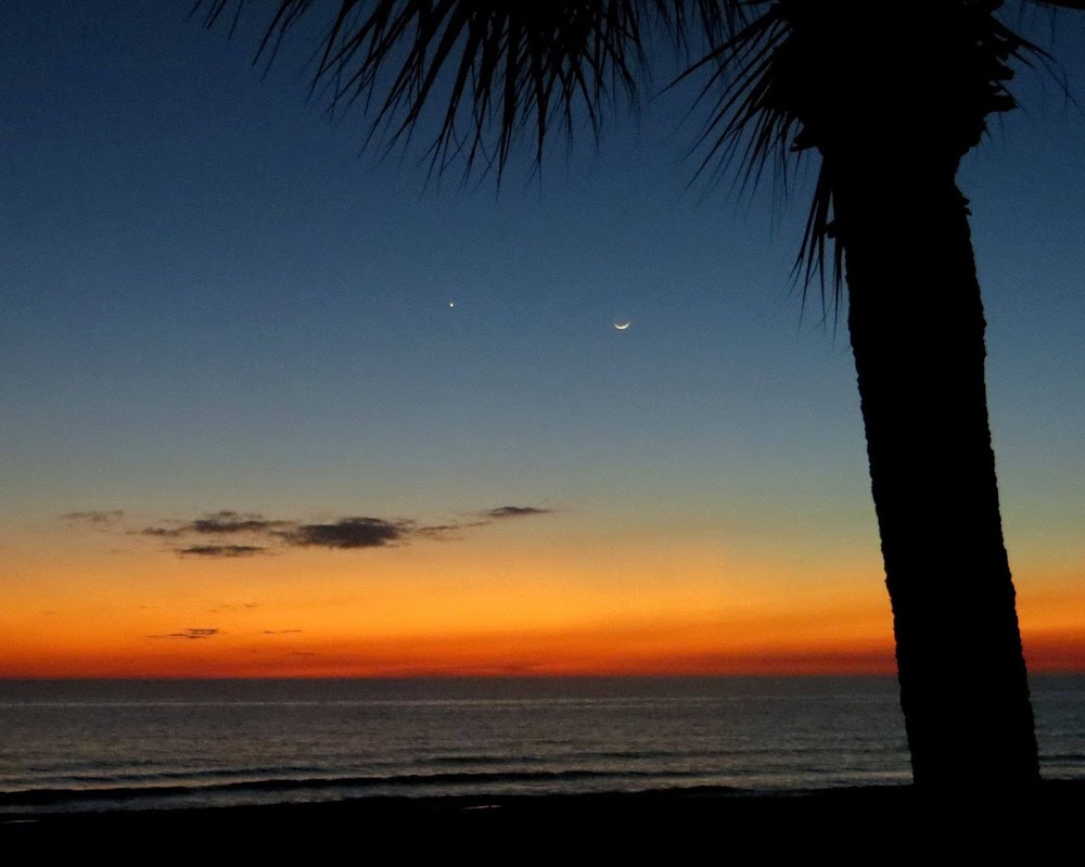 Tấm hình thơ mộng này tới từ bờ biển Florida, Hoa Kỳ bởi Cathy Emmett-Palmer.