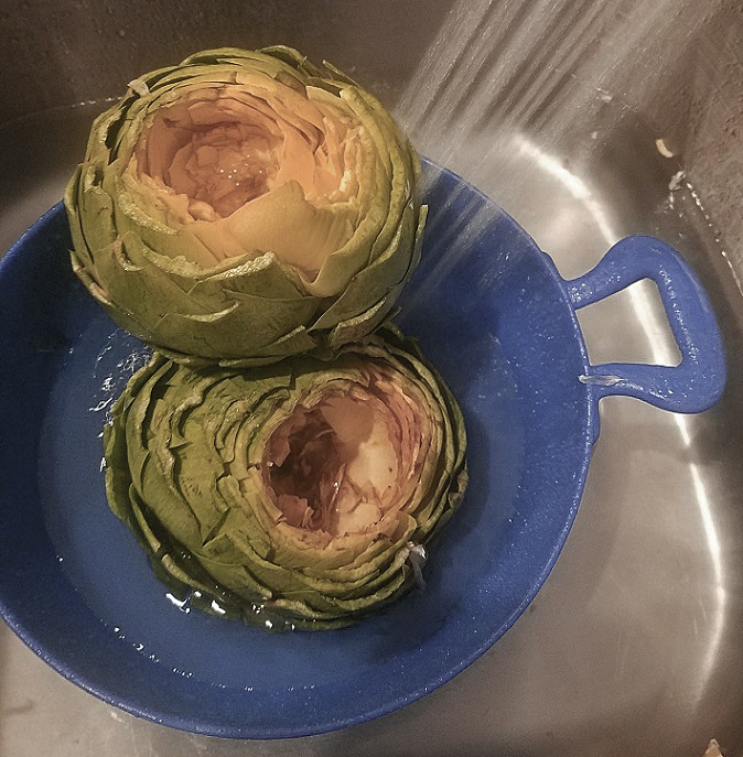 these are cleaned snipped artichokes getting washed in the sink