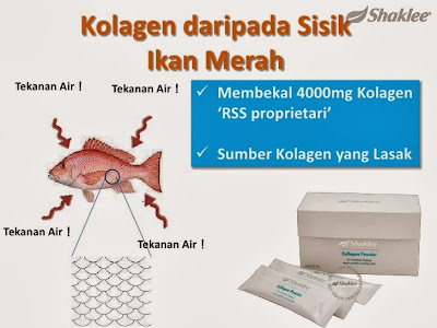 Kebaikan Shaklee collagen powder 