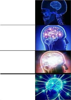 EXPANDING BRAIN 1