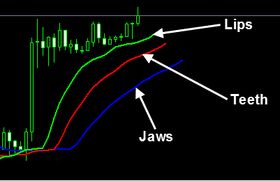 The Alligator Indicator Jaws Teeth Lips Trading System Learn - 