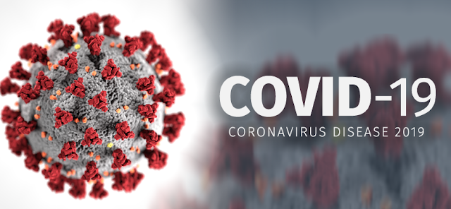 Nguồn gốc Dịch virus corona 2019  -  2020