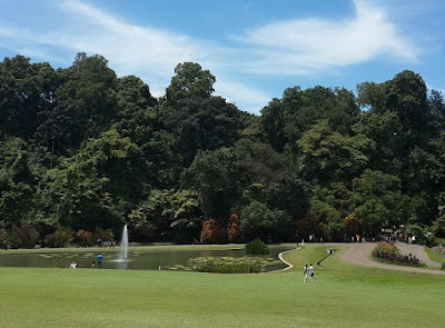 kebun raya bogor